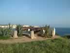 bonifacio1 (3).jpg (42,375 bytes)